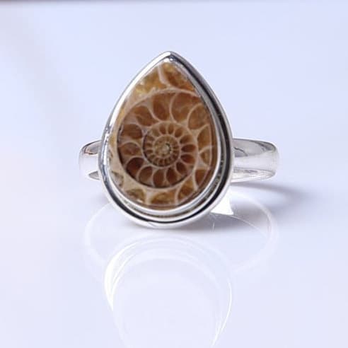 Ammonite Sterling Silver Ring