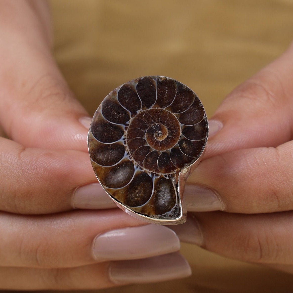 Ammonite 925 Sterling Silver Ring