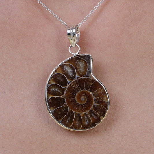 Ammonite Sterling Silver Pendant