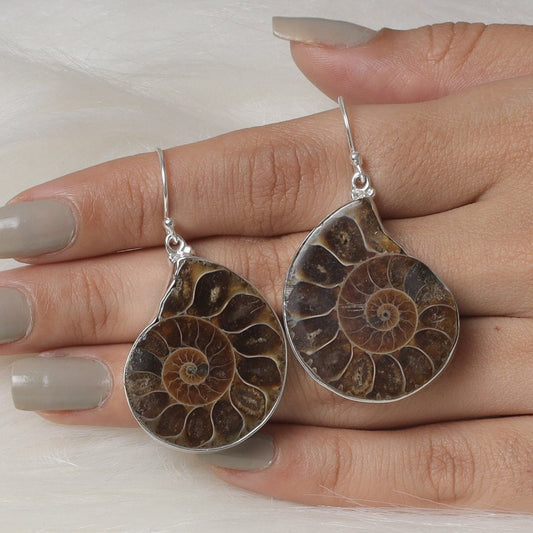 Ammonite Sterling Silver Earrings