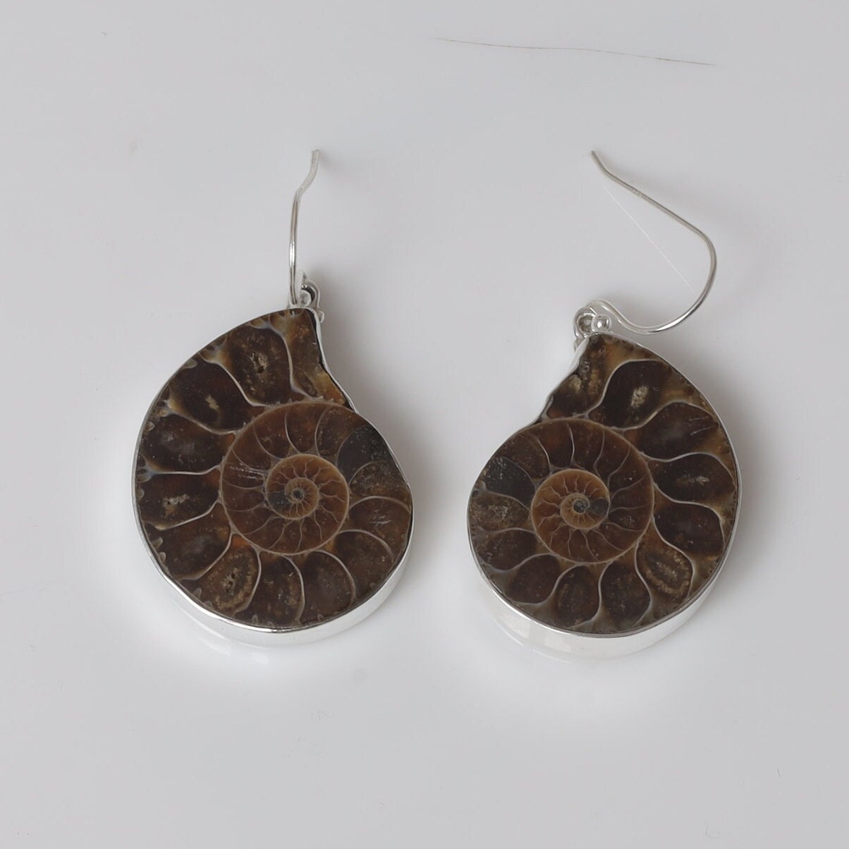 Ammonite Sterling Silver Earrings