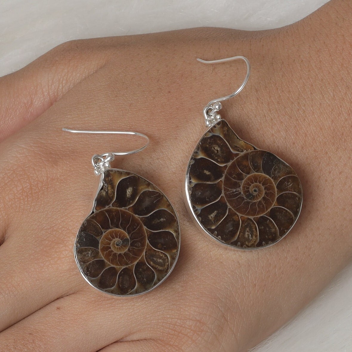 Ammonite Sterling Silver Earrings